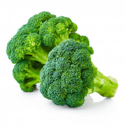 Chou Brocoli Non CMS "France"