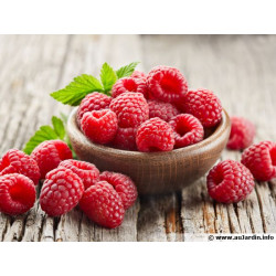 Framboises (125g) "Local"