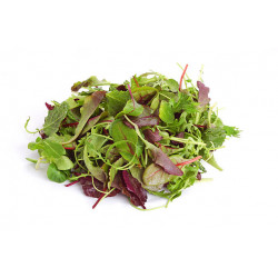 Salade Mesclun "France"