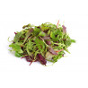 Salade Mesclun "France"