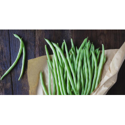 Haricot Vert "France"