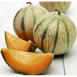 Melon Charentais Jaune (1 kilo environ) "France"