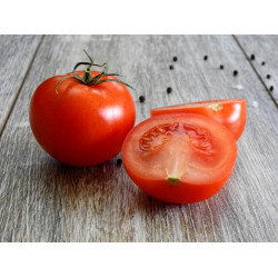 Tomate Campari "Local"