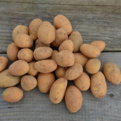 Pomme de terre Mona Lisa (Tendre) "Local"