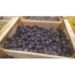 Prune Datil (Mirabelle Noire) "France"