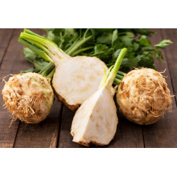 Céleri Rave (700g à 900g) "Local"