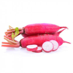 Radis Rouge de Chine Nouveau "Local"