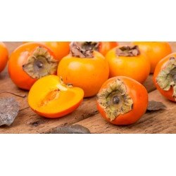 Kaki Fuyu "France"