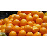 Orange à jus "Italie"
