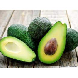 Avocat Hass (120g-130g) "Espagne"