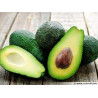 Avocat Hass (120g-130g) "Espagne"