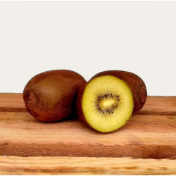 Kiwi Jaune "France"