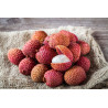 Litchi de l'île de la Réunion "France"