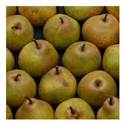 Poire Angélys "Local"