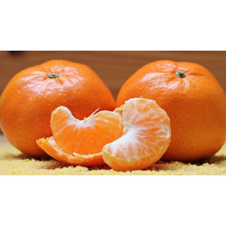 Mandarine Ciaculli "Italie"