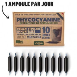Phycocyanine Bio française et sans conservateur - 5000 mg/l - 10 ampoules
