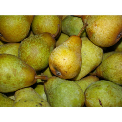 Poire William Verte "Local"