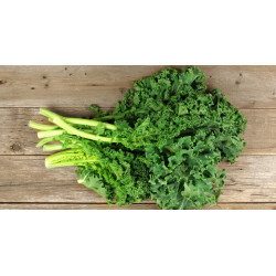Chou Kale  "France"