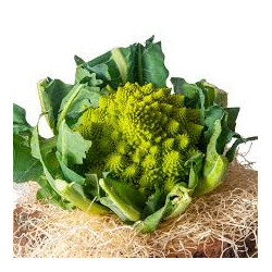 Chou Romanesco "France"