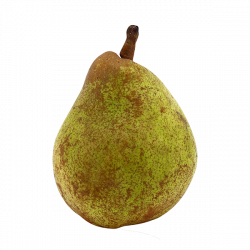 Poire Comice "Local"