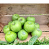 Pomme Granny Smith "France"