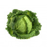 Chou Vert Frisé "France"