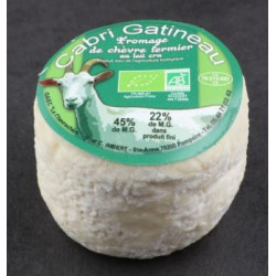 Crottin Sec au lait cru fermier