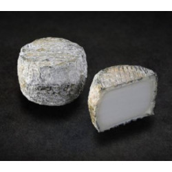 Crottin Cendré au lait cru fermier