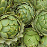 Artichaut Green Queen (300g à 400g Pièce) "France"