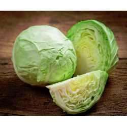 Chou Blanc Nouveau "France"