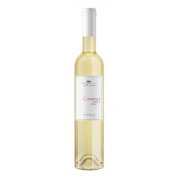Vin Blanc Conversion Castagnès BIO 2020 75cl