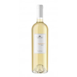 Vin Blanc Apparition Castagnès BIO 2020 75cl
