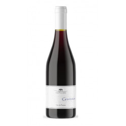 Vin Rouge Gravitation Castagnès BIO 2023 75cl