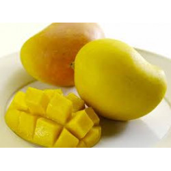 Mangue Kesington (250g à 350g environ) "Italie"