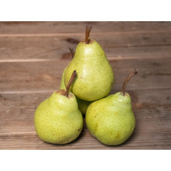 Poire Packham's "Local"