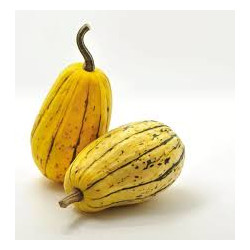 Courge Delicata (600g) "Local"