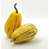 Courge Delicata (600g) "Local"