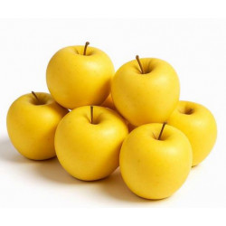 Pomme Lafayette "France"