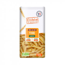 Pâte Penne Blanche 500g