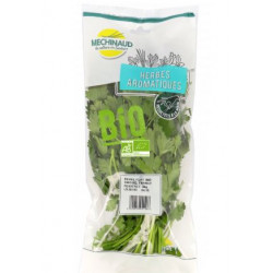 HERBES AROMATIQUES SACHET CORIANDRE 30GR
