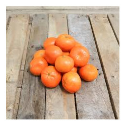 Clémentine Tango "Espagne"