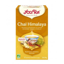 YOGI HIMALAYA