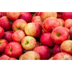 Pomme Braeburn "Local"