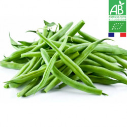 Haricot Vert "France"