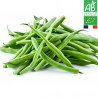 Haricot Vert "France"