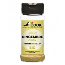 Gingembre moulu Bio 30g
