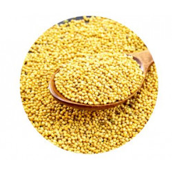 Graines de Moutarde Jaune 250 gr L'ARBRE A HUILE