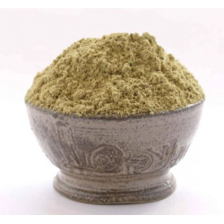 Gingembre moulu Bio 50g Recharge
