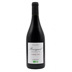 Vin rouge Bourgueil 2024 - VENDANGES SYLVIE
