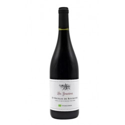 Vin rouge Saint-Nicolas-De-Bourgueil 2024 - LES GRAVIERES